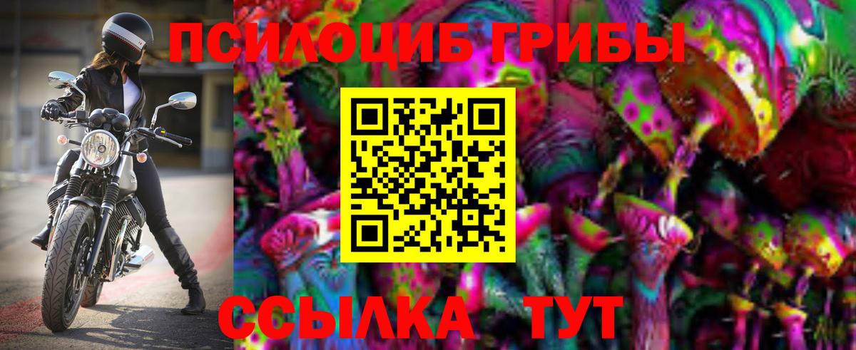 Мичуринск  Галлюциногенные грибы Psilocybe  Вход с VPN 